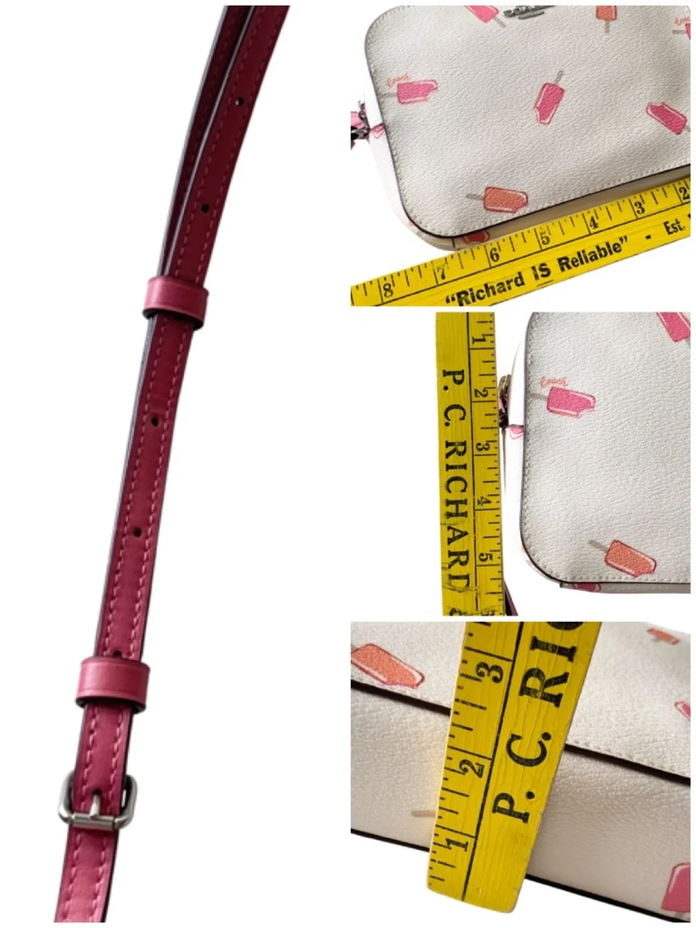 Coach Camera Bag Popsicle Print New